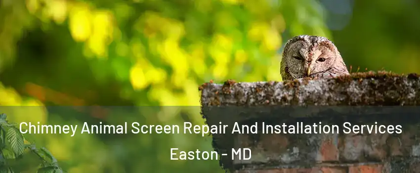  Chimney Animal Screen Repair And Installation Services Easton - MD
