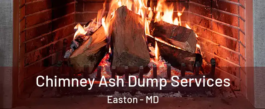 Chimney Ash Dump Services Easton - MD