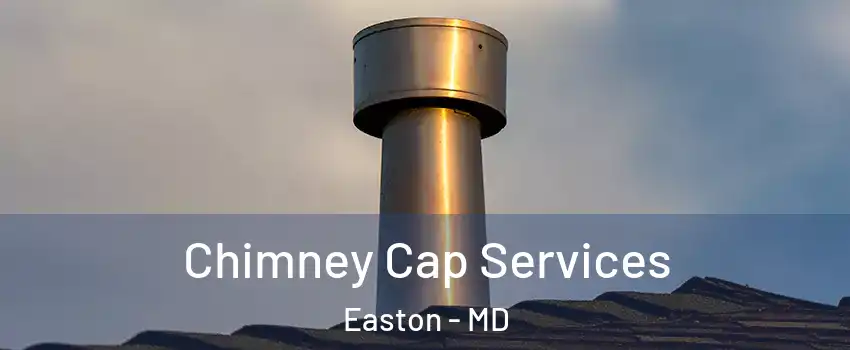  Chimney Cap Services Easton - MD