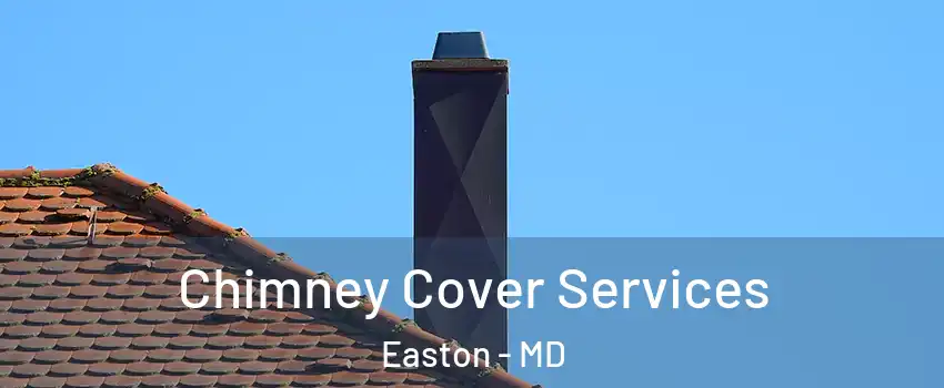 Chimney Cover Services Easton - MD