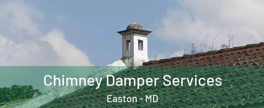  Chimney Damper Services Easton - MD