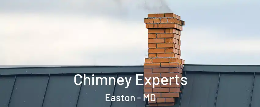  Chimney Experts Easton - MD