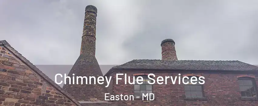  Chimney Flue Services Easton - MD