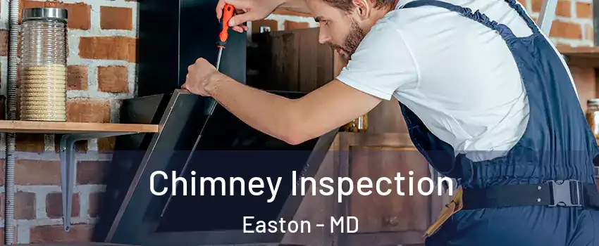  Chimney Inspection Easton - MD