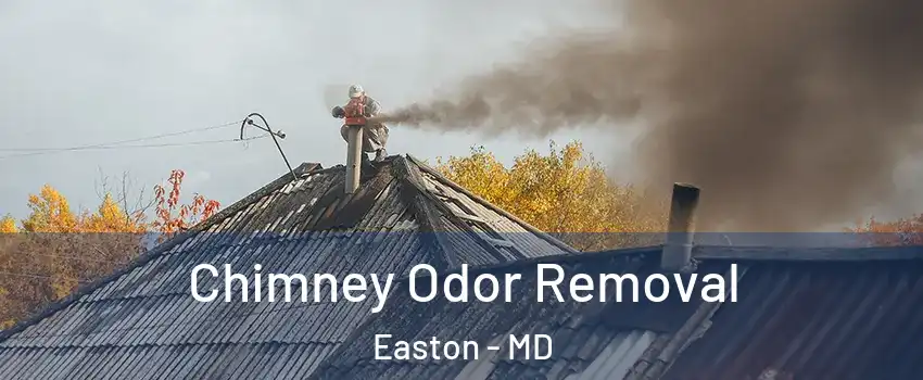 Chimney Odor Removal Easton - MD