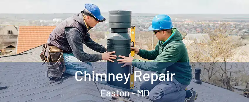  Chimney Repair Easton - MD