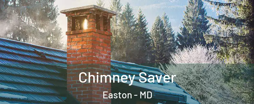  Chimney Saver Easton - MD
