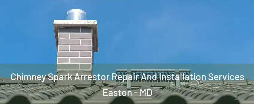  Chimney Spark Arrestor Repair And Installation Services Easton - MD