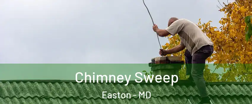 Chimney Sweep Easton - MD