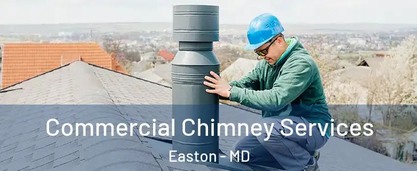  Commercial Chimney Services Easton - MD