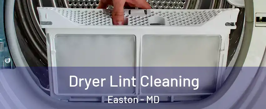  Dryer Lint Cleaning Easton - MD
