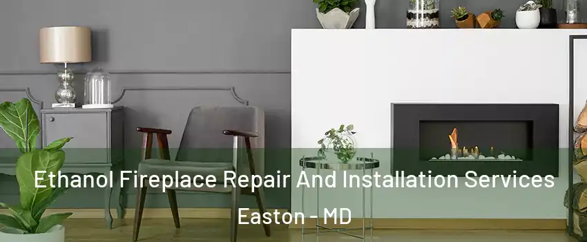 Ethanol Fireplace Repair And Installation Services Easton - MD