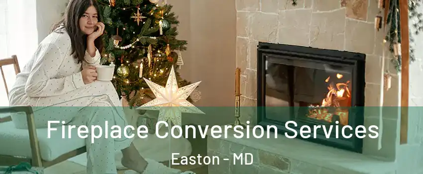  Fireplace Conversion Services Easton - MD