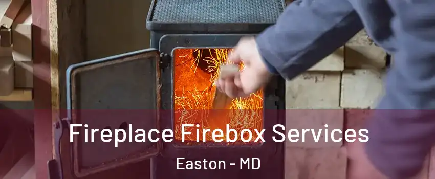  Fireplace Firebox Services Easton - MD