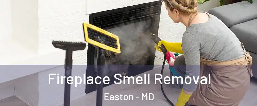 Fireplace Smell Removal Easton - MD