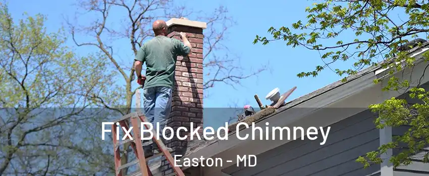  Fix Blocked Chimney Easton - MD