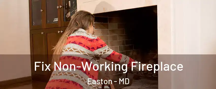 Fix Non-Working Fireplace Easton - MD