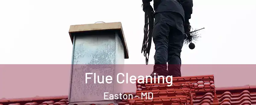  Flue Cleaning Easton - MD