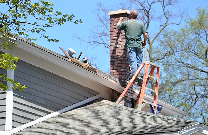 Chimney & Fireplace Inspections Services in Easton, MD