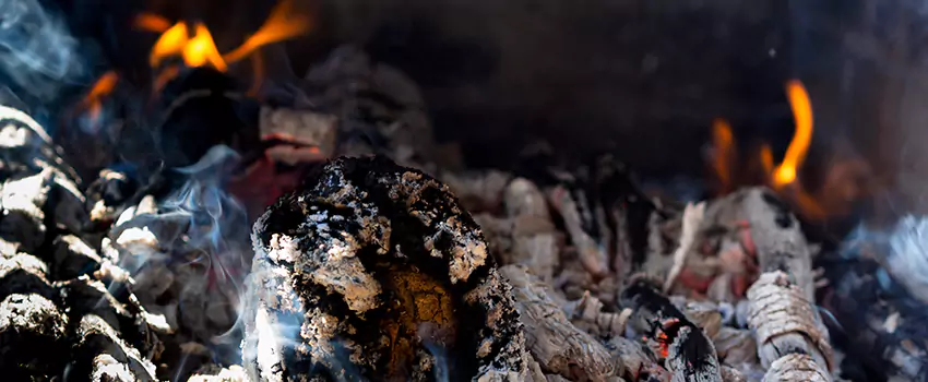 Creosote Removal Experts in Easton, MD