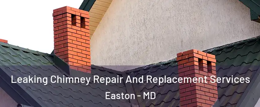 Leaking Chimney Repair And Replacement Services Easton - MD