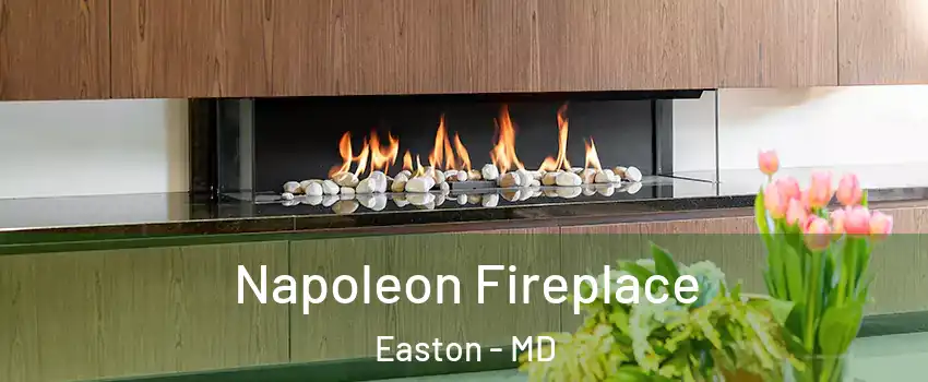 Napoleon Fireplace Easton - MD