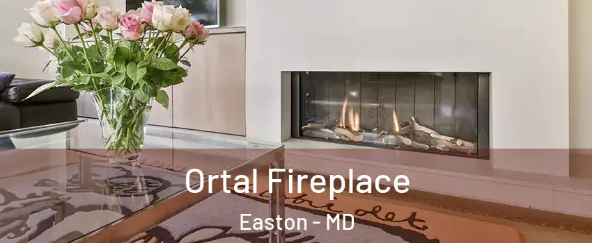  Ortal Fireplace Easton - MD