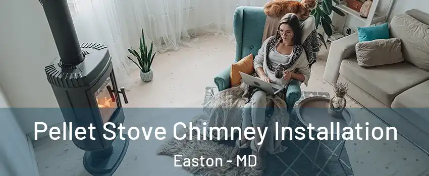  Pellet Stove Chimney Installation Easton - MD
